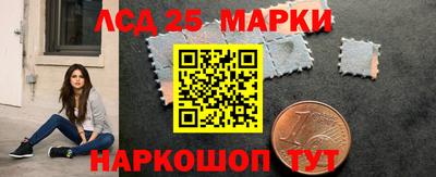 индика Будённовск