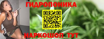 индика Будённовск