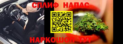 индика Будённовск