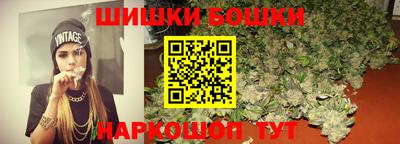 индика Будённовск