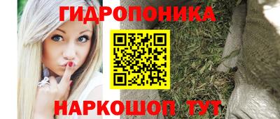 индика Будённовск