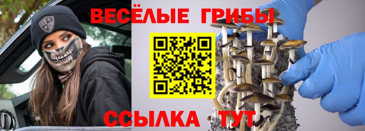 Псилоцибиновые грибы Magic Shrooms  Вход с VPN  Стрежевой 